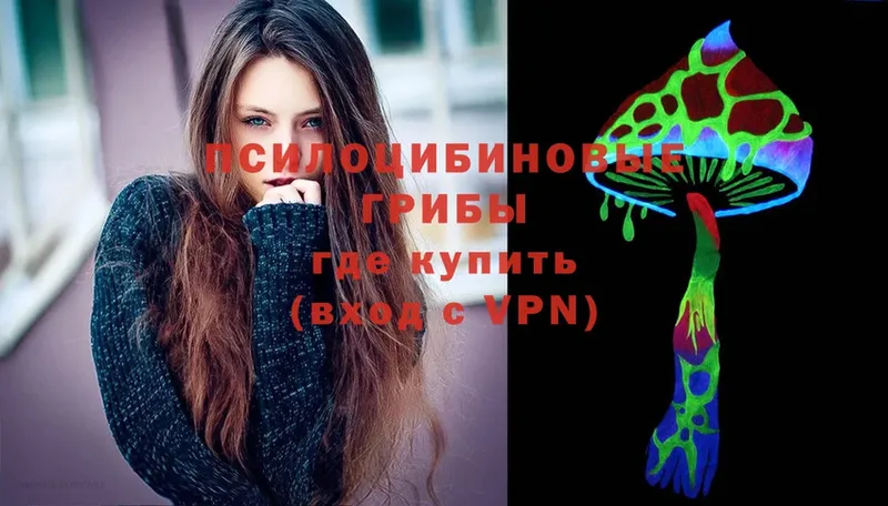 Псилоцибиновые грибы Psilocybine cubensis  купить  цена  Кинель 